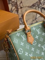 LOUIS VUITTON lv Speedy30 P9 size : 30 cm - Image 5