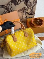 LOUIS VUITTON lv Speedy P9 size : 25 cm - Image 6