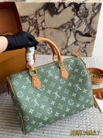 LOUIS VUITTON lv Speedy30 P9 size : 30 cm - Image 8