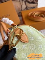 LOUIS VUITTON lv Speedy P9 size : 25 cm - Image 8