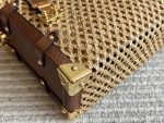 LOUIS VUITTON lv side trunk raffia bag  size : 23*16cm - Image 3