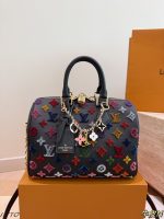 LOUIS VUITTON lv speedy 25