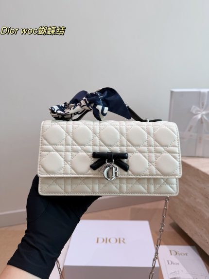 DIOR lady dior woc size :21 x 12cm