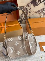 LOUIS VUITTON lv danie size : 25 X15 cm - Image 6