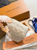LOUIS VUITTON LV LP  pouch - Image 6