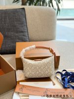 LOUIS VUITTON LV LP  pouch - Image 10